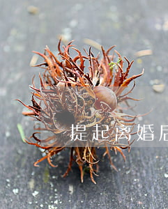 提起离婚后转移财产怎么办