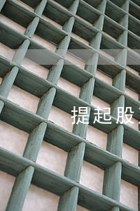提起股東派生訴訟五步走