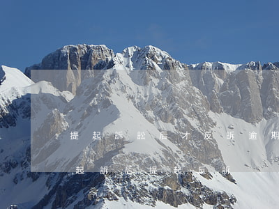 提起訴訟后才反訴逾期付款違約金-在對方起訴后提起反訴