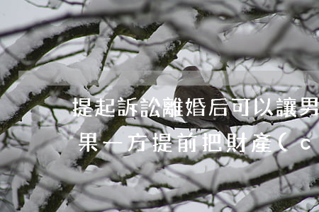 提起訴訟離婚后可以讓男方搬走嗎(離婚時如果一方提前把財產(chǎn)轉(zhuǎn)移了怎么辦)