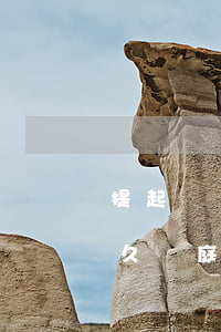 提起訴訟離婚多久開庭(法院接到離婚起訴多久開庭)