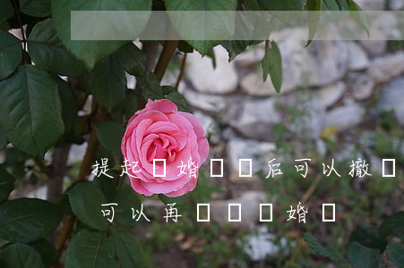 提起離婚訴訟后可以撤訴嗎(訴訟離婚撤訴后可以再訴訟離婚嗎)