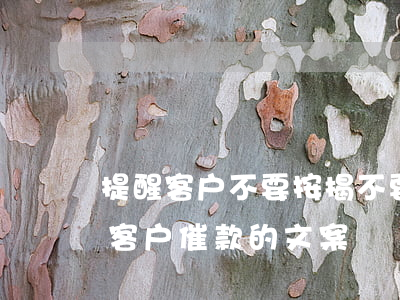 提醒客户不要按揭不要逾期的文案(朋友圈向客户催款的文案)