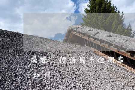 提醒銀行信用卡逾期客戶還款(逾期了信用卡如何還)