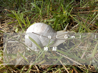提錢(qián)樂(lè)逾期會(huì)被起訴嗎