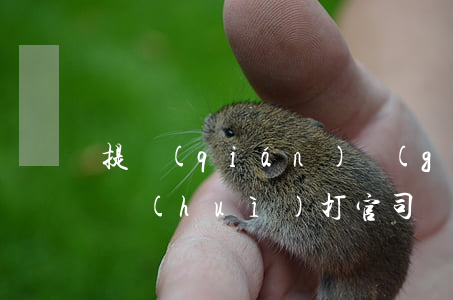提錢(qián)購(gòu)逾期一千五會(huì)打官司嗎