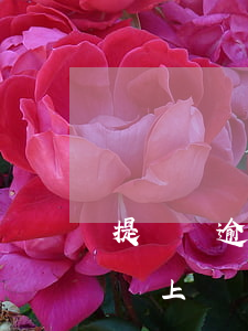 提錢樂逾期多久會起訴(馬上金融逾期多少錢會上訴)