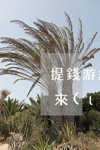提錢游網(wǎng)貸逾期通訊錄是怎么來(lái)的-提錢游逾期爆通訊錄嗎