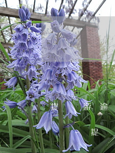 提錢游逾期1400塊錢會(huì)上門嗎-提錢游逾期1200會(huì)被起訴嗎