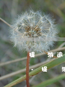 提錢游逾期2000會(huì)被起訴嘛-提錢游逾期1200會(huì)被起訴嗎