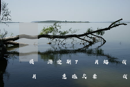 提錢游逾期7個月起訴我-提錢游逾期半個月說惡意拖欠要訴訟我