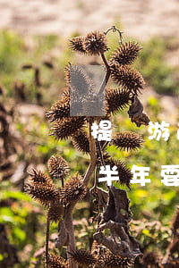 提錢游逾期協(xié)商還款 提錢游逾期半年要起訴我