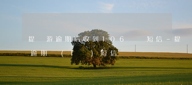 提錢游逾期后收到106開頭短信-提錢游逾期發(fā)短信