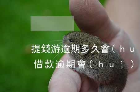 提錢游逾期多久會(huì)被起訴(提錢游借款逾期會(huì)被起訴嗎)