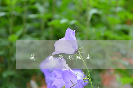 提錢游逾期被起訴
