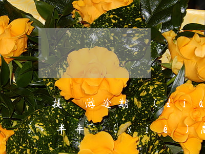 提錢游逾期調(diào)解-提錢游逾期半年協(xié)商還款