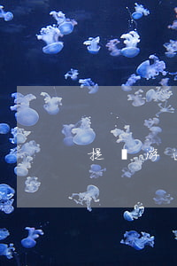 提錢游逾期還能用嗎