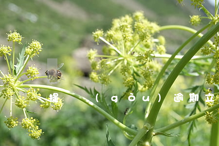 提錢購(gòu)逾期立案
