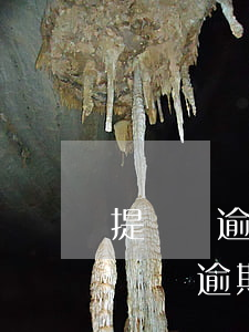 提錢購逾期會(huì)上門找你嗎(同程提錢購逾期)