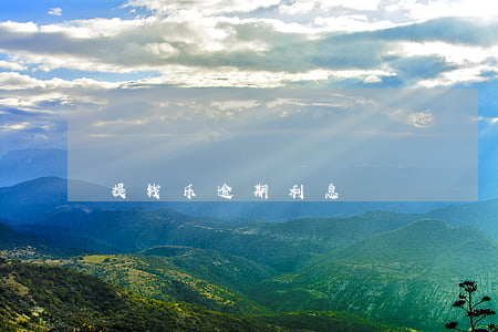 提钱乐逾期利息