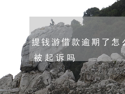 提钱游借款逾期了怎么办（提钱游贷款逾期会被起诉吗）