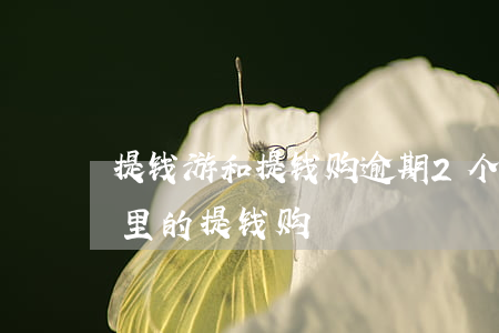 提钱游和提钱购逾期2个月怎么样-提钱游里的提钱购