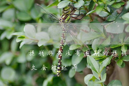 提钱游有没有逾期的（提钱游平台借钱逾期多久会被起诉）