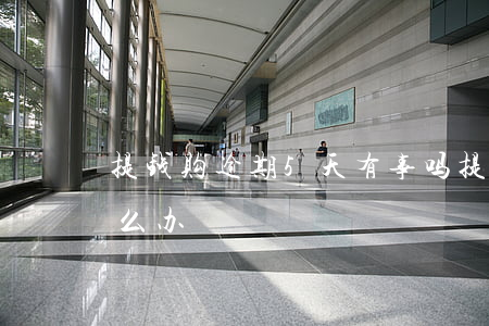 提钱购逾期5天有事吗(提钱购借款逾期了怎么办)