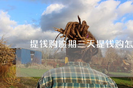 提钱购逾期三天(提钱购怎么协商延期还款)
