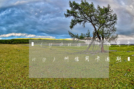 揚(yáng)州信用卡逾期辦理(揚(yáng)州信用卡逾期辦理流程)