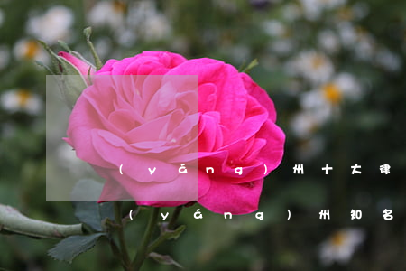 揚(yáng)州十大律師事務(wù)所(揚(yáng)州知名律師有哪些)