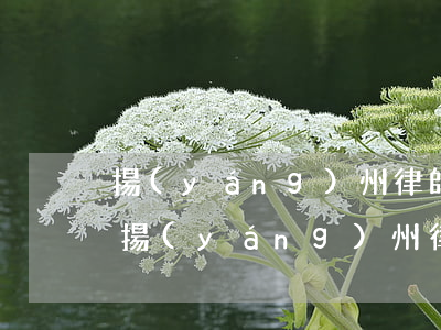 揚(yáng)州律師事務(wù)所排行(揚(yáng)州律師事務(wù)所排行20)