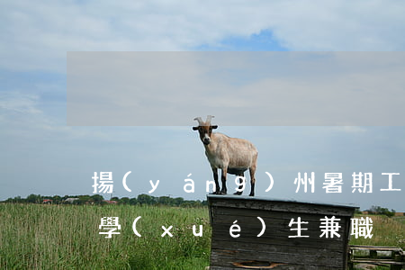 揚(yáng)州暑期工(揚(yáng)州學(xué)生兼職)