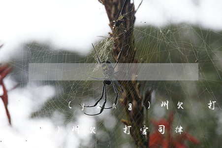 揚(yáng)州欠錢打官司(揚(yáng)州欠錢打官司律師)