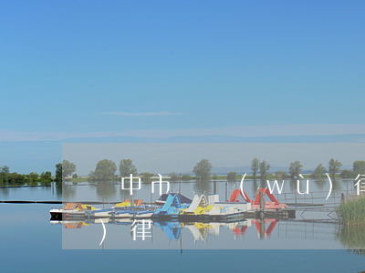 揚中市債務(wù)律師 揚中市債務(wù)律師電話