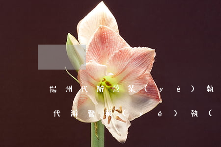 揚州代辦營業(yè)執(zhí)照(上虞代辦營業(yè)執(zhí)照)