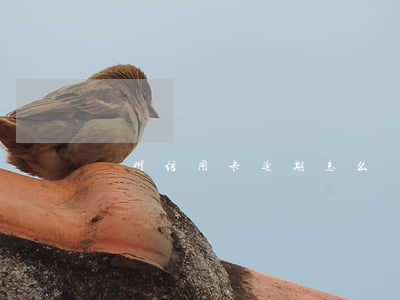 揚州信用卡逾期怎么辦(有逾期怎么辦信用卡)