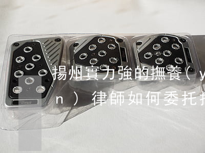 揚州實力強的撫養(yǎng)權(quán)律師如何委托(揚州厲害的律師)