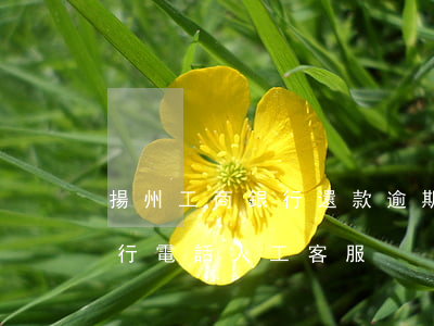 揚州工商銀行還款逾期了怎么辦(揚州工商銀行電話人工客服)