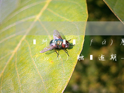 揚州泰達發(fā)展建設(shè)債務(wù)融資逾期-揚州泰達發(fā)展建設(shè)債務(wù)融資逾期怎么辦