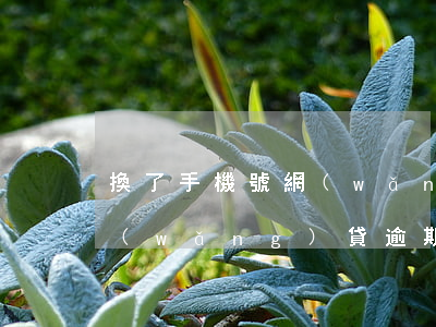 換了手機號網(wǎng)貸逾期被起訴(網(wǎng)貸逾期換手機號碼)