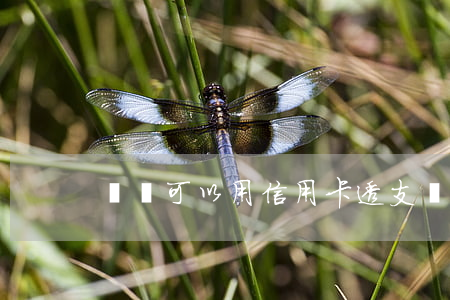 換匯可以用信用卡透支嗎(信用卡可以購匯嗎)