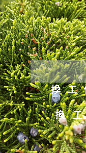 換工作信用卡逾期怎么跟單位解釋(辦信用卡換工作單位了)