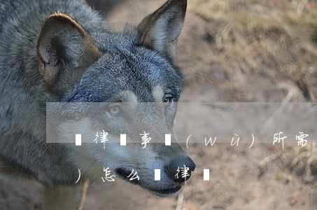 換律師事務(wù)所需要什么手續(xù)(怎么換律師)