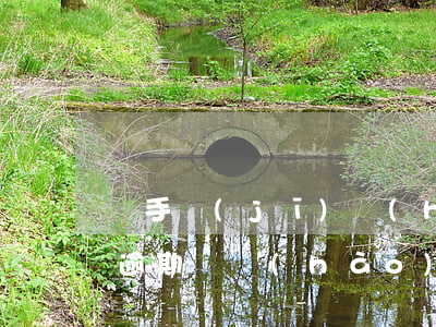 換手機(jī)號(hào)碼信用卡逾期(逾期換號(hào)碼卡還會(huì)打來嗎)