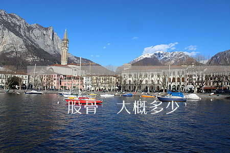 換股骨頭大概多少錢