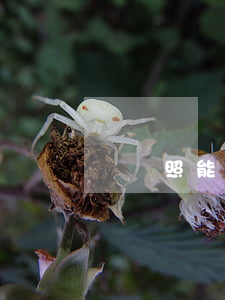 換駕照能逾期多長時間(換駕駛證能逾期多久)