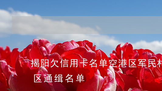 揭阳欠信用卡名单空港区军民村-揭阳空港区通缉名单