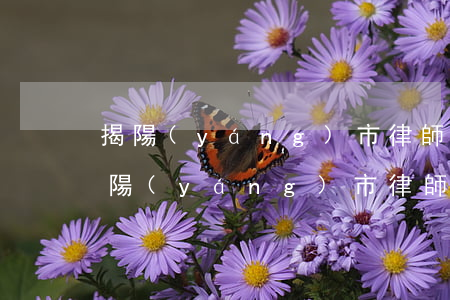 揭陽(yáng)市律師事務(wù)所(揭陽(yáng)市律師事務(wù)所)