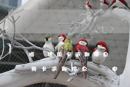 揭陽信用卡逾期停息掛賬申請條件-揭陽信用卡逾期停息掛賬申請條件是什么